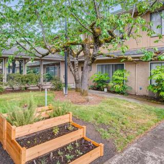 A well-maintained garden with tiered vegetable beds in a residential yard.