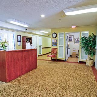 A well-lit reception area with a wooden desk, carpeted floor, and decorative plants.