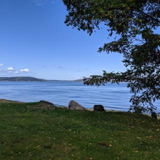 A serene view of the calm waters under a clear blue sky, framed by a lush green area and a tree.