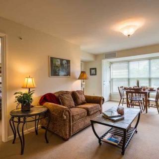A cozy living room with a sofa and coffee table, leading to a dining area filled with natural light from large windows.