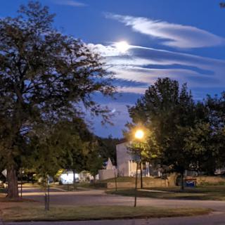 A serene night scene illuminated by moonlight and streetlights, surrounded by trees.