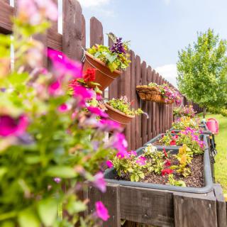 A vibrant garden with colorful flowers in planters along a wooden fence.