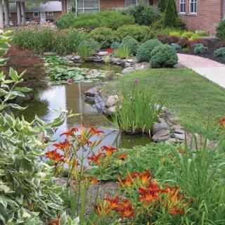 A beautifully landscaped garden featuring a pond, vibrant flowers, and lush greenery with a stone pathway.