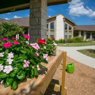 A vibrant garden with colorful flowers in front of a modern building.