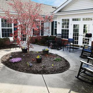 A peaceful courtyard with a flowering tree and outdoor seating.