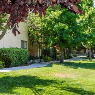 A sunny day at an apartment complex with a well-maintained lawn and lush green trees.