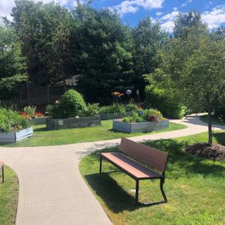 A sunny park with pathways, benches, and vibrant garden beds.