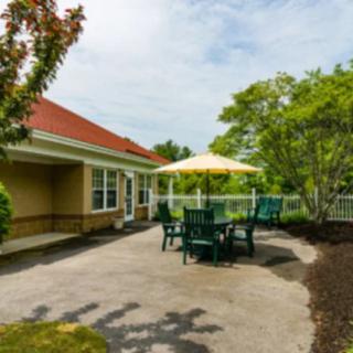 A sunny patio area with a table, chairs, and an umbrella surrounded by greenery.