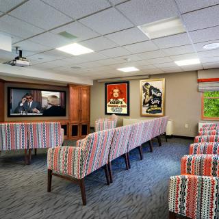A cozy indoor movie theater room with patterned chairs and film posters on the walls.