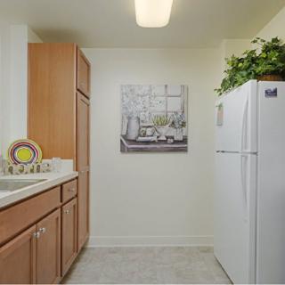 A small kitchen featuring wooden cabinets, a white refrigerator, and decorative plants on top, with artwork adorning the wall.