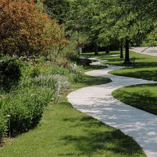 A winding pathway surrounded by lush greenery and trees.