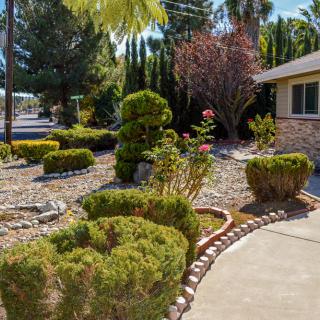 A well-maintained garden with trimmed bushes, trees, and a rock-covered pathway under the bright sun.