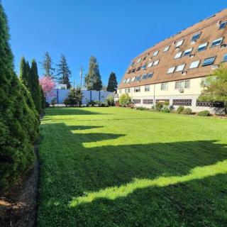 A well-maintained lawn in front of a large building with a clear blue sky.
