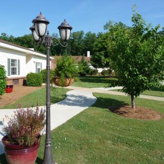 A well-maintained garden with a pathway, lamp post, and surrounding greenery in front of a house.