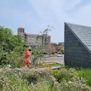 A vibrant urban scene featuring a person in bright attire among lush greenery and modern architecture.