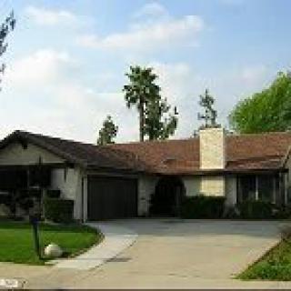 A suburban house with a driveway and surrounding greenery.