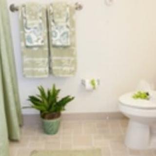 A neatly organized bathroom with green-themed decor, including towels and a potted plant.