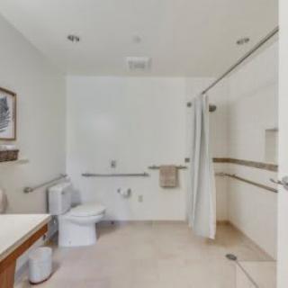 Accessible bathroom with a shower and grab bars.