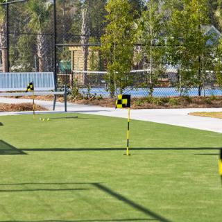 A putting green with multiple flags and lush trees in the background.