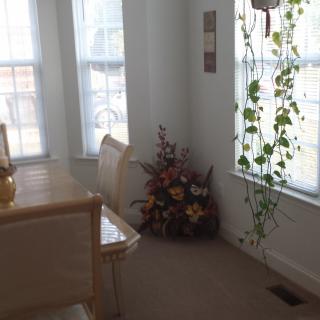 A bright dining area with a wooden table, chairs, and decorative plants by the window.