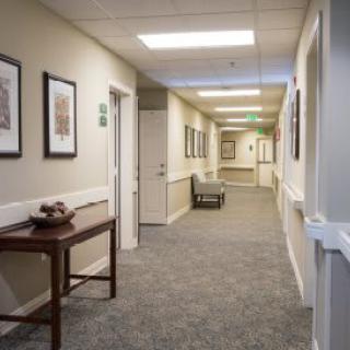 A well-lit office hallway with artwork on the walls and a carpeted floor.