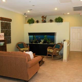 A cozy waiting room featuring an aquarium, comfortable seating, and decorative plants.