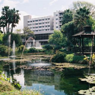 A serene landscape featuring a modern building alongside a tranquil pond with fountains and lush greenery.