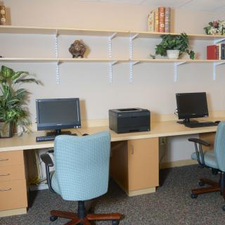 A tidy office workspace with computers, a printer, and decorative plants.