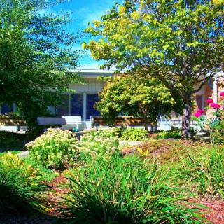 A vibrant garden showcasing lush greenery and blooming flowers in front of a building.