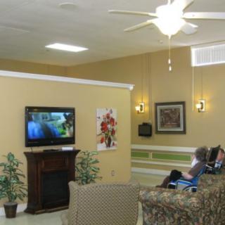 A cozy living room with a television and sofa, featuring indoor plants and two people seated.