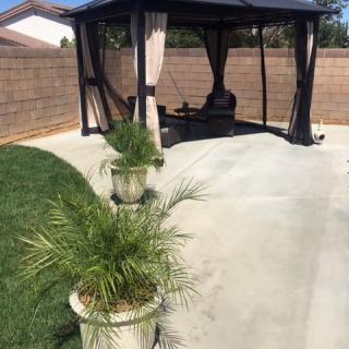 A backyard with a gazebo and potted plants on a concrete patio.