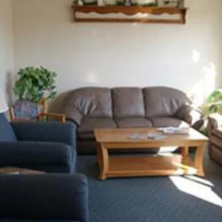 A cozy living room with a sofa, chairs, and a coffee table surrounded by plants.