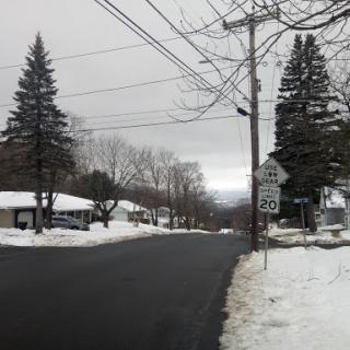 A quiet residential street blanketed in snow under a gray sky.