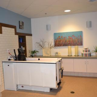 A modern kitchen interior featuring a central counter and contemporary decor.