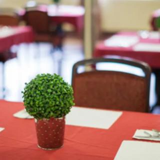 A neatly set dining table with a red tablecloth and a small potted plant centerpiece.