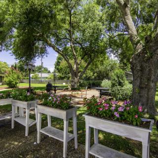 A serene garden scene featuring lush greenery and colorful flowers in white planters.