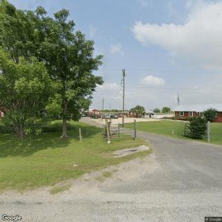 Live Oak