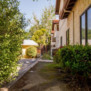 A sunny pathway lined with trees and bushes next to a building.