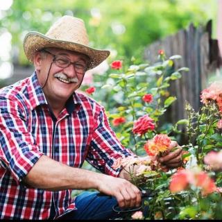 A man wearing a hat tends to his garden filled with colorful flowers.