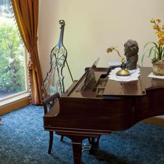 A grand piano in a living room with elegant decor and large windows.