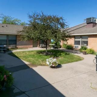 A sunny courtyard garden surrounded by brick buildings, featuring a central tree and outdoor seating.
