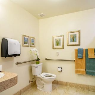A clean and accessible bathroom with grab bars, towels, and framed art on the walls.