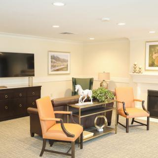 A cozy living room with modern furniture and decor.