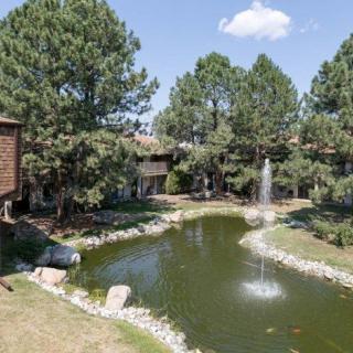 Scenic view of a tranquil pond surrounded by trees with a fountain in the center.