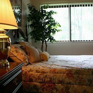 A cozy bedroom with a floral bedspread and warm lighting from a table lamp, featuring a large window and a potted plant.