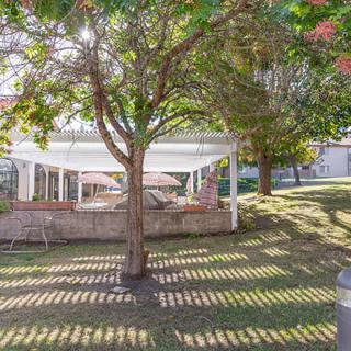 A peaceful garden scene with a pergola, tree, and sunlight casting shadows on the lawn.