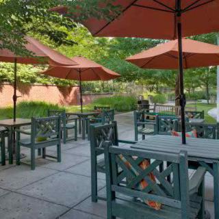 A peaceful outdoor patio with tables and chairs under large umbrellas, surrounded by greenery.