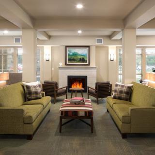 A modern and cozy living room with a fireplace and stylish sofas.
