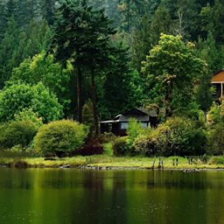 A serene lakeside view surrounded by lush greenery and a cozy cabin.