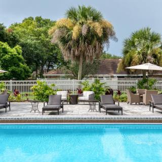An inviting outdoor swimming pool area with lounge chairs and tropical palm trees.